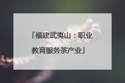 福建武夷山：职业教育服务茶产业