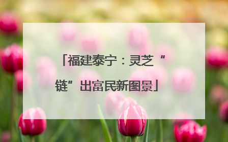 福建泰宁：灵芝“链”出富民新图景