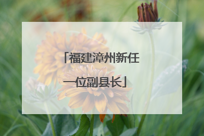 福建漳州新任一位副县长
