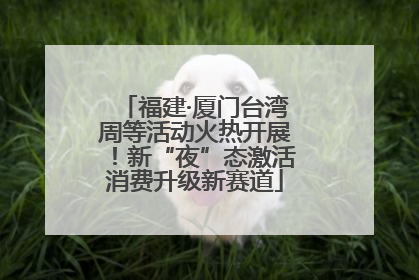 福建·厦门台湾周等活动火热开展！新“夜”态激活消费升级新赛道