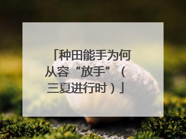 种田能手为何从容“放手”（三夏进行时）