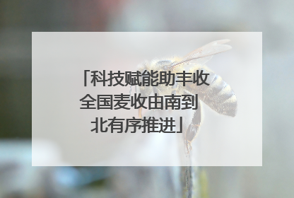 科技赋能助丰收 全国麦收由南到北有序推进