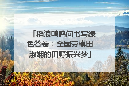 稻浪鸭鸣间书写绿色答卷：全国劳模田淑娴的田野振兴梦