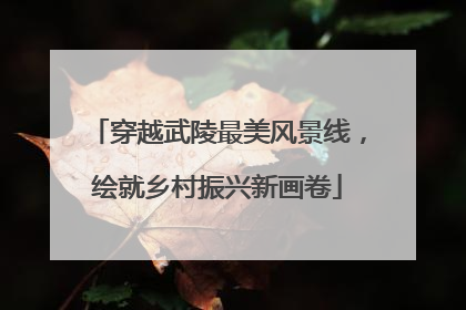 穿越武陵最美风景线，绘就乡村振兴新画卷