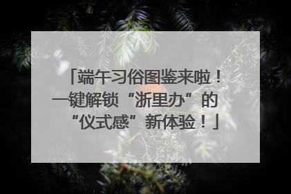 端午习俗图鉴来啦！一键解锁“浙里办”的“仪式感”新体验！