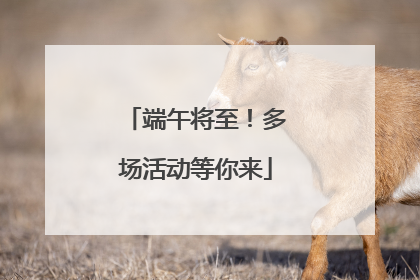 端午将至！多场活动等你来