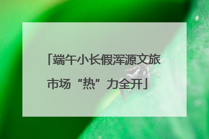端午小长假浑源文旅市场“热”力全开