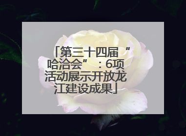 第三十四届“哈洽会”：6项活动展示开放龙江建设成果