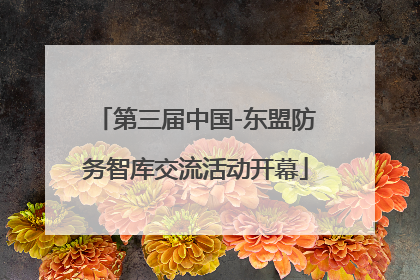 第三届中国-东盟防务智库交流活动开幕
