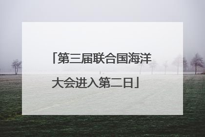 第三届联合国海洋大会进入第二日
