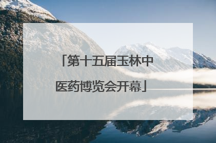 第十五届玉林中医药博览会开幕
