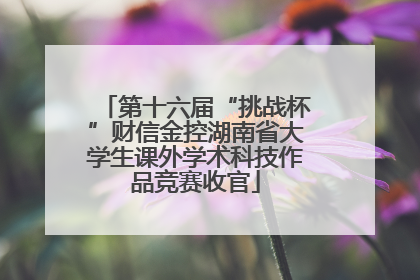 第十六届“挑战杯”财信金控湖南省大学生课外学术科技作品竞赛收官