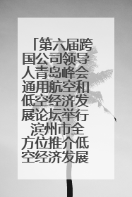 第六届跨国公司领导人青岛峰会通用航空和低空经济发展论坛举行 滨州市全方位推介低空经济发展优势
