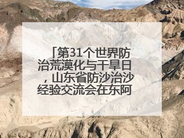 第31个世界防治荒漠化与干旱日，山东省防沙治沙经验交流会在东阿县举办
