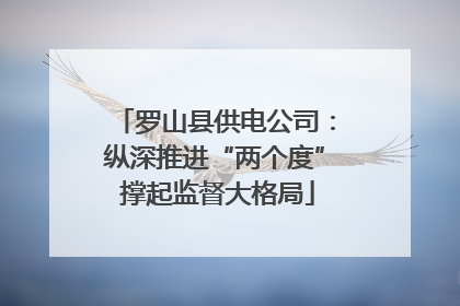 罗山县供电公司：纵深推进“两个度” 撑起监督大格局