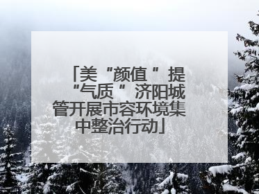 美“颜值 ”提“气质 ”济阳城管开展市容环境集中整治行动