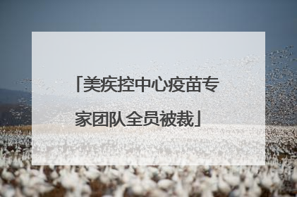 美疾控中心疫苗专家团队全员被裁