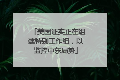 美国证实正在组建特别工作组，以监控中东局势