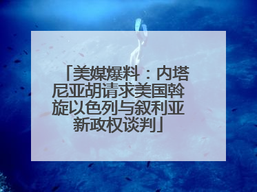 美媒爆料：内塔尼亚胡请求美国斡旋以色列与叙利亚新政权谈判
