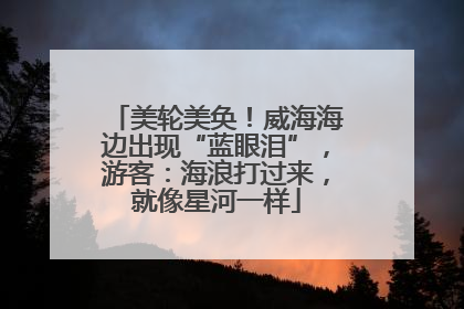 美轮美奂！威海海边出现“蓝眼泪”，游客：海浪打过来，就像星河一样