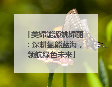 美锦能源姚锦丽：深耕氢能蓝海，领航绿色未来