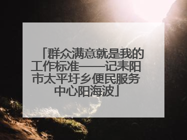群众满意就是我的工作标准——记耒阳市太平圩乡便民服务中心阳海波