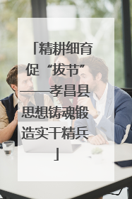 精耕细育促“拔节”——孝昌县思想铸魂锻造实干精兵