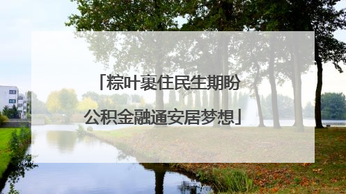 粽叶裹住民生期盼 公积金融通安居梦想