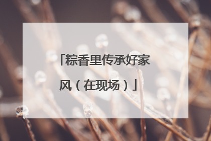 粽香里传承好家风（在现场）