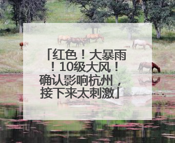 红色！大暴雨！10级大风！确认影响杭州，接下来太刺激