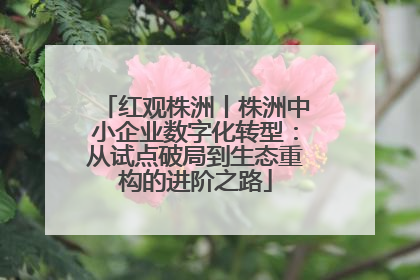 红观株洲丨株洲中小企业数字化转型：从试点破局到生态重构的进阶之路