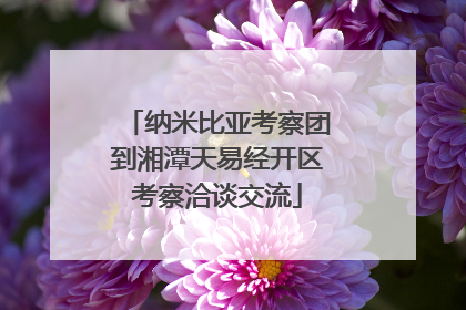 纳米比亚考察团到湘潭天易经开区考察洽谈交流
