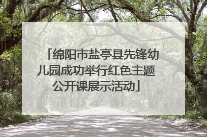 绵阳市盐亭县先锋幼儿园成功举行红色主题公开课展示活动