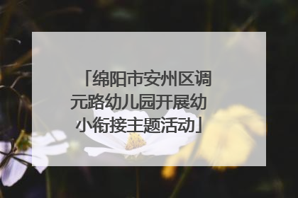 绵阳市安州区调元路幼儿园开展幼小衔接主题活动
