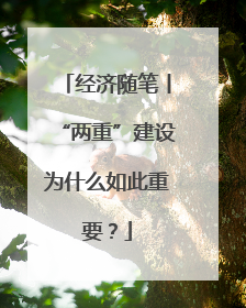 经济随笔丨“两重”建设为什么如此重要？
