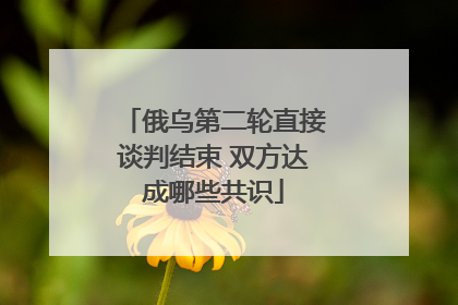 俄乌第二轮直接谈判结束 双方达成哪些共识