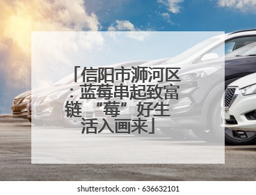 信阳市浉河区：蓝莓串起致富链 “莓”好生活入画来