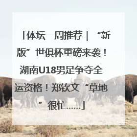 体坛一周推荐｜“新版”世俱杯重磅来袭！湖南U18男足争夺全运资格！郑钦文“草地”很忙……