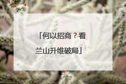 何以招商？看兰山升维破局