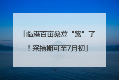 临港百亩桑葚“紫”了！采摘期可至7月初