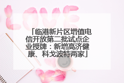 临港新片区增值电信开放第二批试点企业授牌：新增高济健康、科戈波特两家