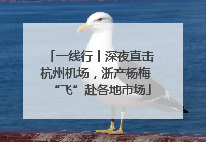 一线行丨深夜直击杭州机场，浙产杨梅“飞”赴各地市场