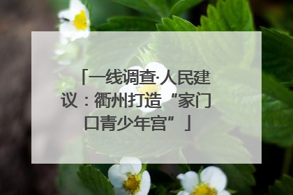 一线调查·人民建议：衢州打造“家门口青少年宫”