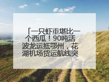 一只虾重堪比一个西瓜!90吨活波龙运抵鄂州,花湖机场货运航线突破100条