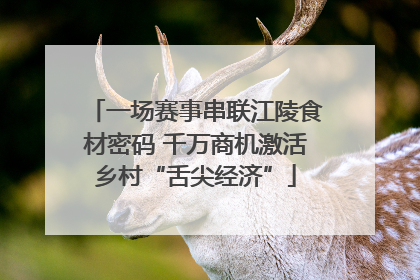 一场赛事串联江陵食材密码 千万商机激活乡村“舌尖经济”