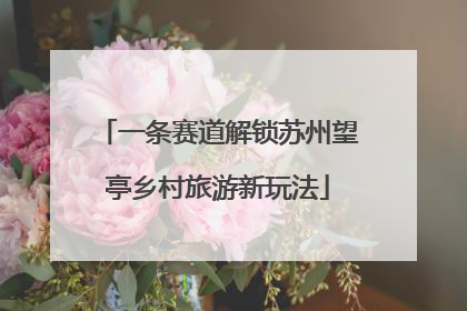 一条赛道解锁苏州望亭乡村旅游新玩法