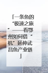 一条鱼的“极速之旅”——看鄂州如何借“机”延伸武昌鱼产业链