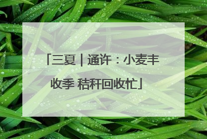 三夏｜通许：小麦丰收季 秸秆回收忙