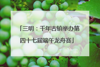 三明：千年古镇举办第四十七届端午龙舟赛