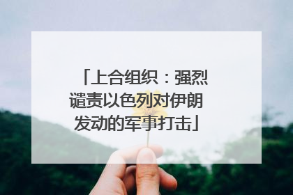 上合组织：强烈谴责以色列对伊朗发动的军事打击